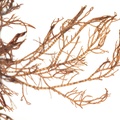 REF201603094950