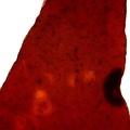 REF201603073090