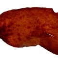 REF201609195166