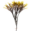 REF201603118783