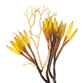 REF201603277389