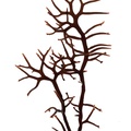 REF201609195672