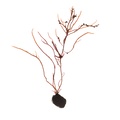 REF201603093770