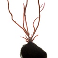 REF201603093776