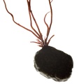 REF201603093781