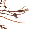 REF201603093805