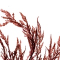 REF201609195762