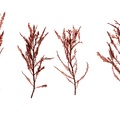 REF201609195781