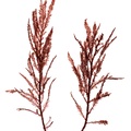 REF201609195782