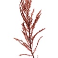 REF201609195791