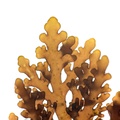 REF201603116881