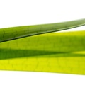 REF201603277560