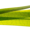 REF201603277561