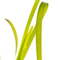 REF201603277594