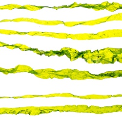 PAC-North-East Green algae studio