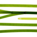 REF201607270903