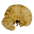 REF201708200358