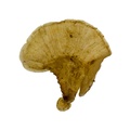 REF201708200360