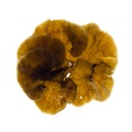 REF201708153741