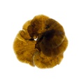 REF201708153828