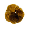 REF201708153833