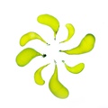 REF201708012547