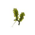 REF201805113443