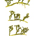 REF201711276153