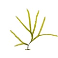REF201805112984
