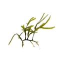 REF201805113012