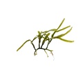 REF201805113028