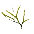 REF201805113044