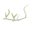 REF201805113061