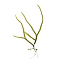 REF201805113071