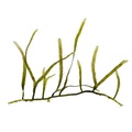 REF201805113079