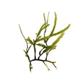 REF201805113084