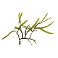 REF201805113095