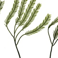 REF201709014042