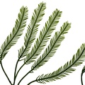 REF201709014051