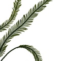 REF201709014062