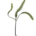 REF201709014063