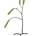 REF201709014066