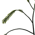 REF201709014069
