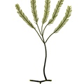 REF201709014073