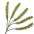 REF201709014077