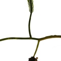 REF201709014090