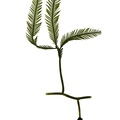 REF201709014094