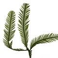 REF201709014096
