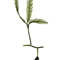 REF201709014099