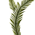 REF201709014227